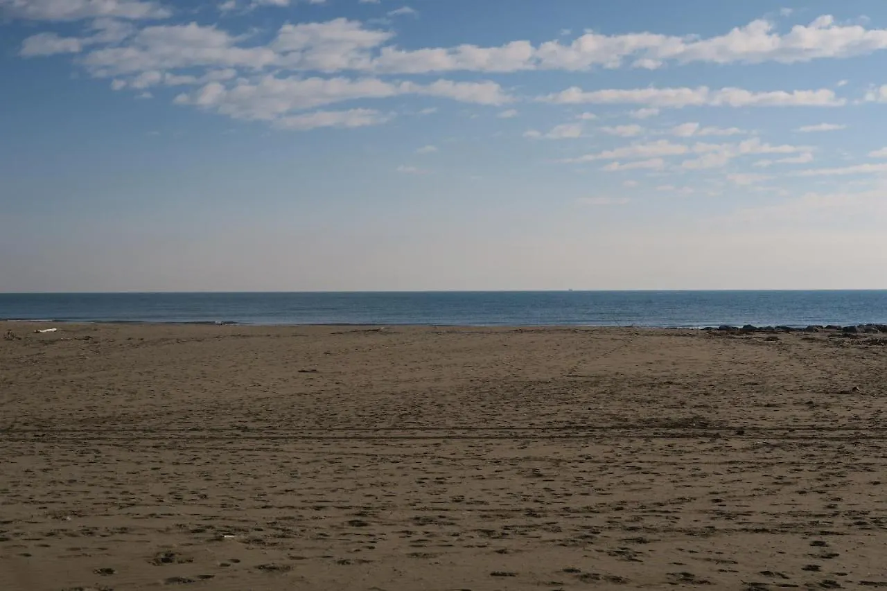Hotel Laura Cavallino-Treporti 0*,